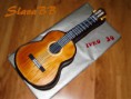 /album/fotogaleria/a294-gitara-jpg/